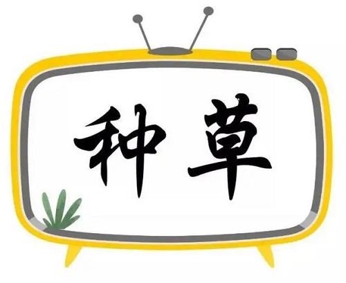 說(shuō)說(shuō)小紅書種草的幾種營(yíng)銷模式